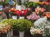 Custom vs Ready-Made Flowers Bouquet: 4 Advice from Florists in Singapore