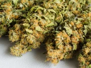 The best Exhale thca flower product gives users outstanding health benefits
