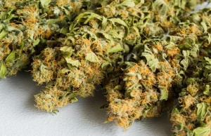 The best Exhale thca flower product gives users outstanding health benefits